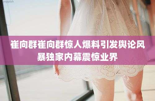 崔向群崔向群惊人爆料引发舆论风暴独家内幕震惊业界