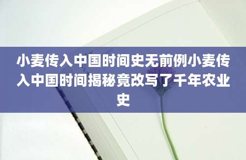 小麦传入中国时间史无前例小麦传入中国时间揭秘竟改写了千年农业史