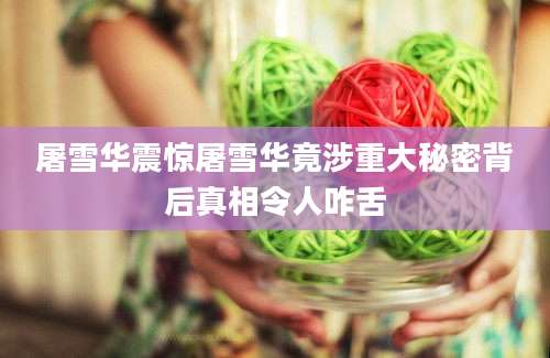 屠雪华震惊屠雪华竟涉重大秘密背后真相令人咋舌